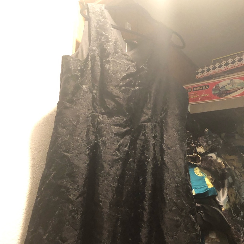 Rebel Wilson for Torrid Lace Dress - 506 $50 or $45 w/offer